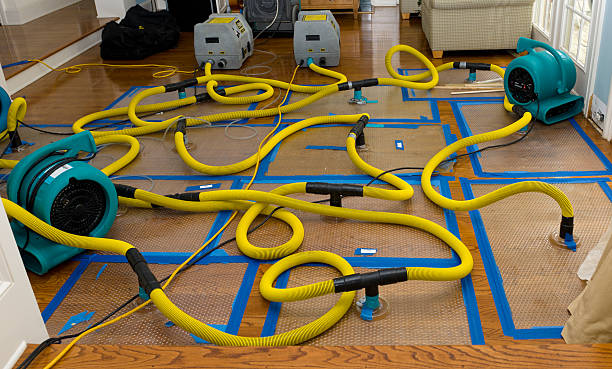 Professional Basement Flood Cleanup technician working in Moultrie, GA